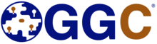 Golden Global Company